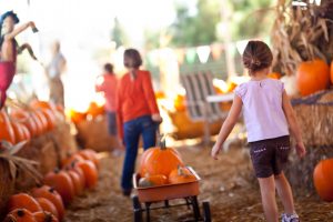 Kids pulling a wagon with pumpkins